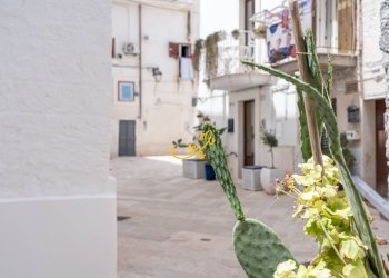 Foto 2 - Trilocale Chiasso Cristo, Monopoli - foto 2