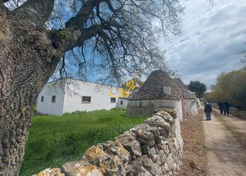 Foto 7 - Villa Zona D, Noci - foto 7