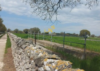 Foto 8 - Villa Zona D, Noci - foto 8