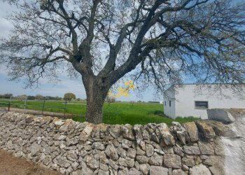 Foto 9 - Villa Zona D, Noci - foto 9