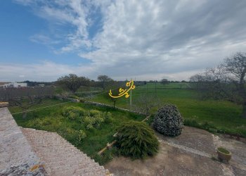 Foto 14 - Villa Zona D, Noci - foto 14