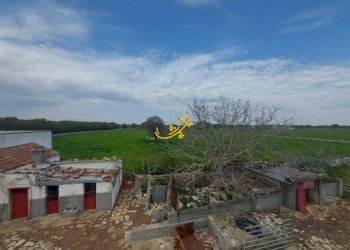 Foto 17 - Villa Zona D, Noci - foto 17