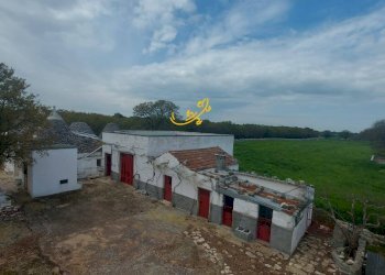 Foto 18 - Villa Zona D, Noci - foto 18