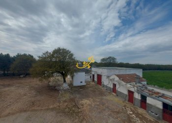 Foto 19 - Villa Zona D, Noci - foto 19