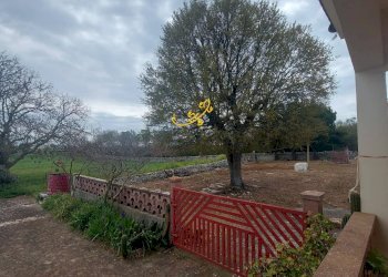 Foto 30 - Villa Zona D, Noci - foto 30