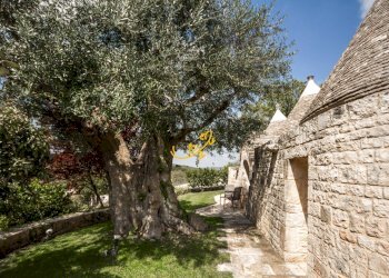 Foto 3 - Baita S.C 166-1 C. da Cupa, Locorotondo - foto 3