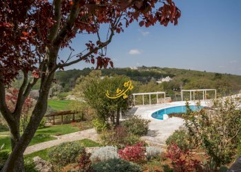 Foto 4 - Baita S.C 166-1 C. da Cupa, Locorotondo - foto 4