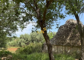 Foto 4 - Baita Strada Vicinale Marchione, Monopoli - foto 4