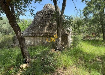 Foto 5 - Baita Strada Vicinale Marchione, Monopoli - foto 5