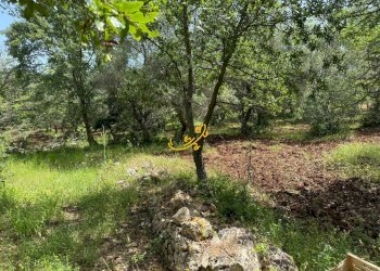 Foto 7 - Baita Strada Vicinale Marchione, Monopoli - foto 7