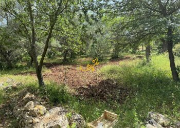 Foto 8 - Baita Strada Vicinale Marchione, Monopoli - foto 8