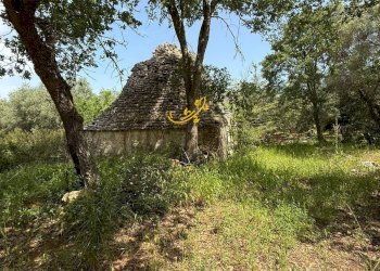 Foto 9 - Baita Strada Vicinale Marchione, Monopoli - foto 9