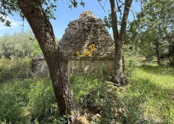 Foto 10 - Baita Strada Vicinale Marchione, Monopoli - foto 10