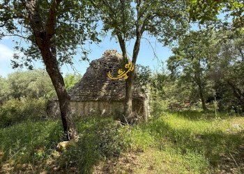 Foto 19 - Baita Strada Vicinale Marchione, Monopoli - foto 19