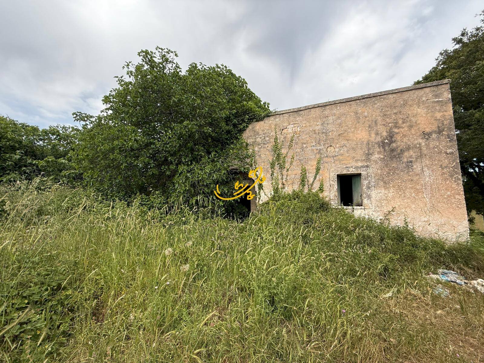 Foto 2 - Rustic C. da Paretano, Monopoli - photo 2