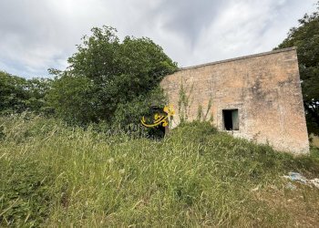 Foto 2 - Rustico C. da Paretano, Monopoli - foto 2