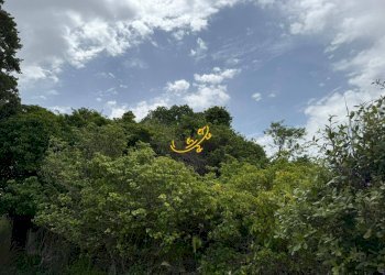 Foto 3 - Rustico C. da Paretano, Monopoli - foto 3