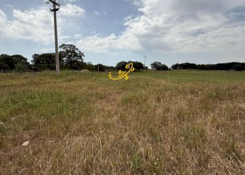 Foto 5 - Rustico C. da Paretano, Monopoli - foto 5