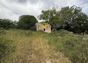 Foto 7 - Rustico C. da Paretano, Monopoli - foto 7