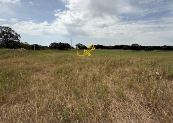 Foto 8 - Rustico C. da Paretano, Monopoli - foto 8