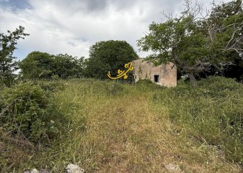 Foto 9 - Rustico C. da Paretano, Monopoli - foto 9