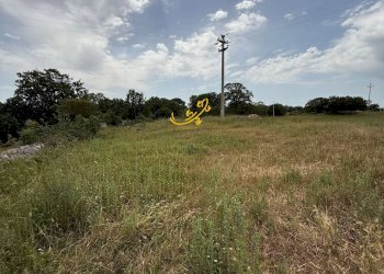 Foto 10 - Rustico C. da Paretano, Monopoli - foto 10