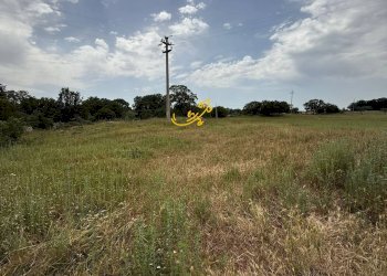 Foto 11 - Rustico C. da Paretano, Monopoli - foto 11