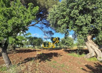 Foto 7 - Baita S.C. Montaltino, Polignano a Mare - photo 7