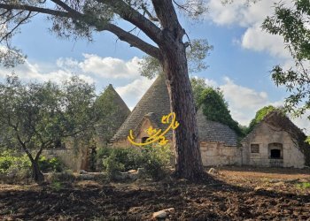 Foto 12 - Baita S.C. Montaltino, Polignano a Mare - photo 12