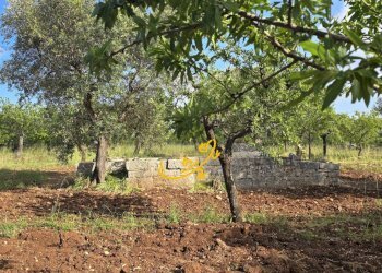 Foto 16 - Baita S.C. Montaltino, Polignano a Mare - photo 16