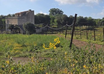 Foto 17 - Baita S.C. Montaltino, Polignano a Mare - photo 17