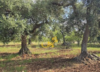 Foto 18 - Baita S.C. Montaltino, Polignano a Mare - photo 18