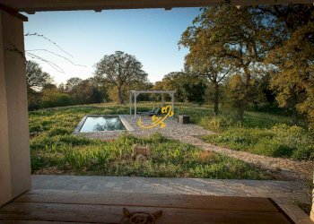 Foto 13 - Rustico C.da Cervarulo, Monopoli - foto 13