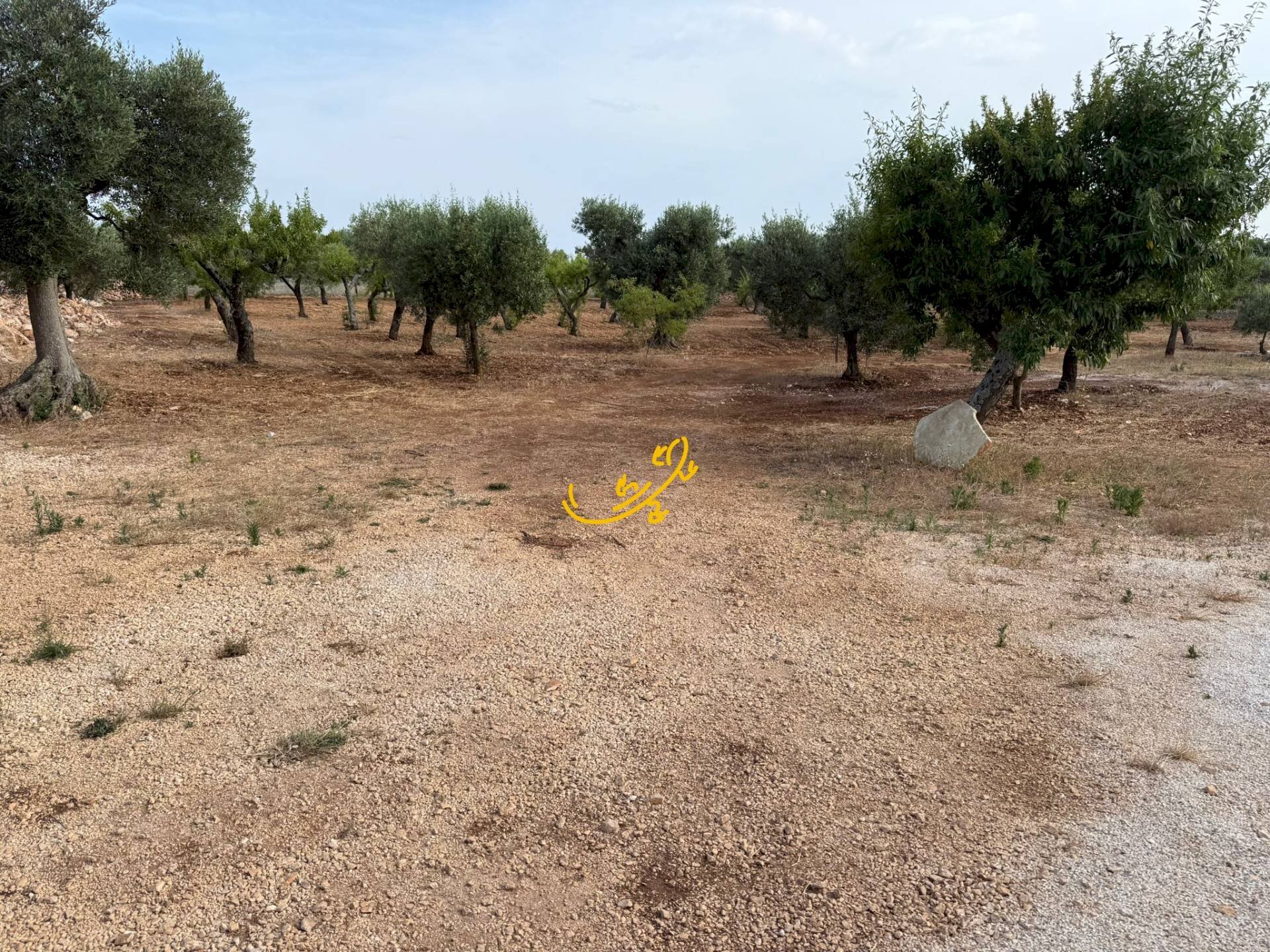 Foto 3 - Baita C.da Marchione, Castellana Grotte - photo 3