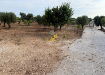 Foto 4 - Baita C.da Marchione, Castellana Grotte - photo 4