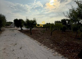 Foto 5 - Baita C.da Marchione, Castellana Grotte - photo 5