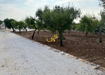 Foto 6 - Baita C.da Marchione, Castellana Grotte - photo 6