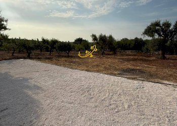 Foto 7 - Baita C.da Marchione, Castellana Grotte - photo 7