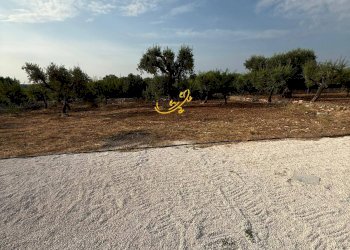 Foto 12 - Baita C.da Marchione, Castellana Grotte - photo 12