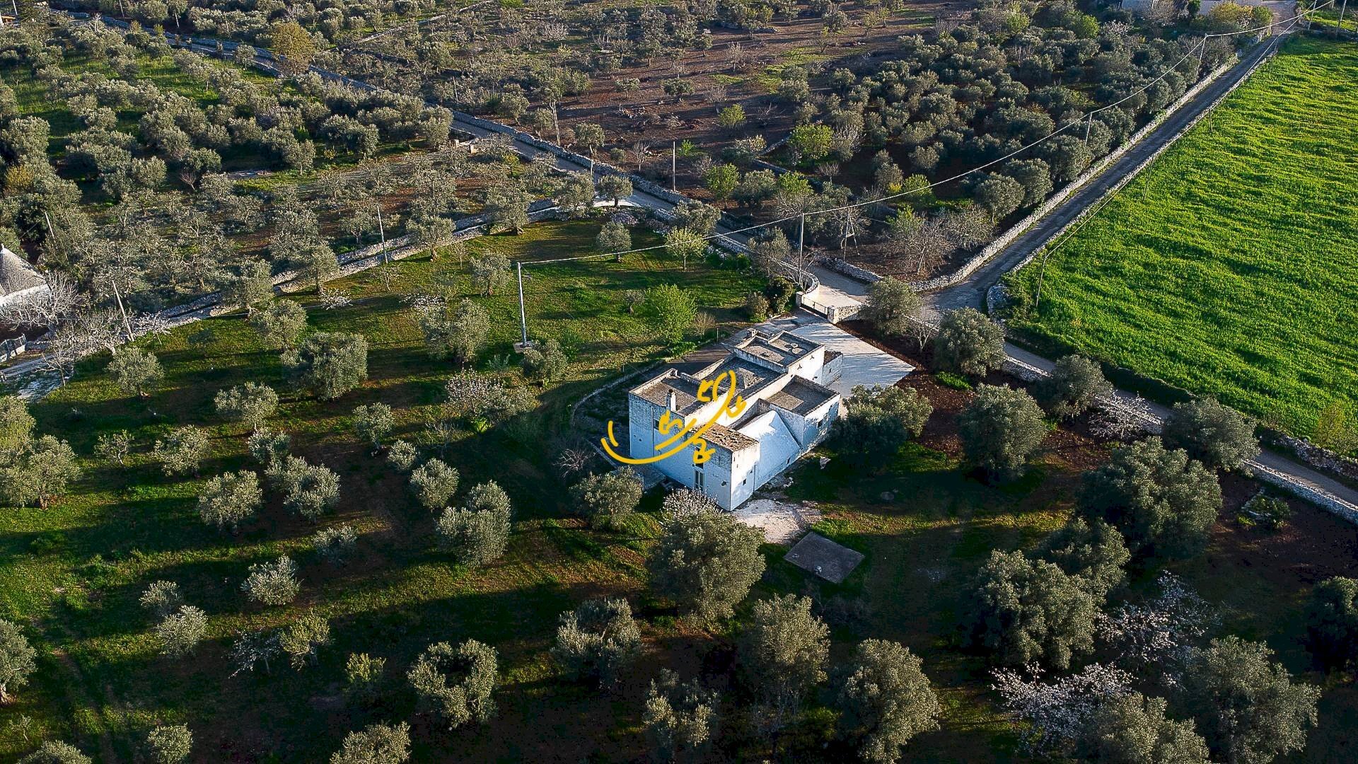 Foto 3 - Rustico C. da Cervarulo, Monopoli - foto 3