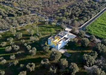 Foto 3 - Rustico C. da Cervarulo, Monopoli - foto 3