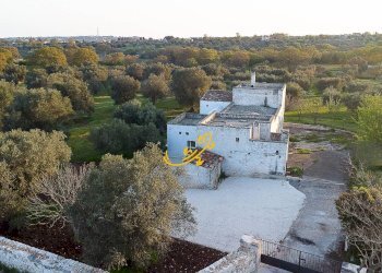 Foto 7 - Rustico C. da Cervarulo, Monopoli - foto 7