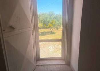 Foto 16 - Rustico C. da Cervarulo, Monopoli - foto 16