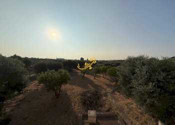 Foto 30 - Rustic S.C. Monte Della Vecchia, Polignano a Mare - photo 30