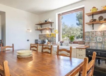 Foto 7 - Baita S.C. Interno Grande, Putignano - foto 7