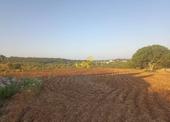 Foto 7 - Baita C.da Carpari, Martina Franca - photo 7