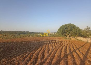 Foto 9 - Baita C.da Carpari, Martina Franca - photo 9