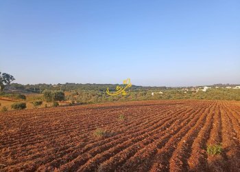 Foto 10 - Baita C.da Carpari, Martina Franca - photo 10