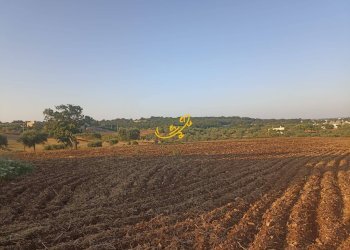 Foto 11 - Baita C.da Carpari, Martina Franca - photo 11