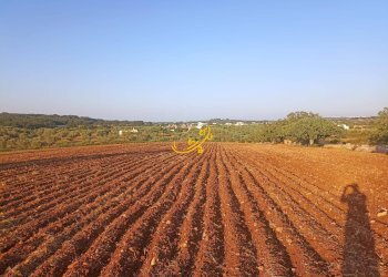 Foto 12 - Baita C.da Carpari, Martina Franca - photo 12